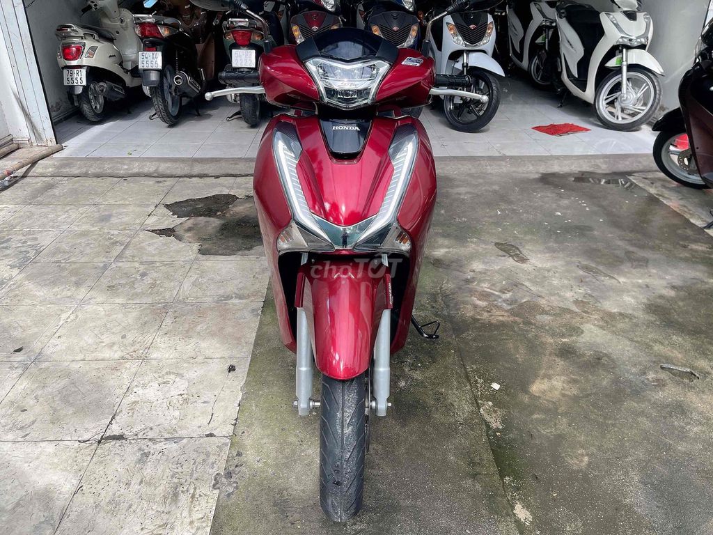 Sh 2006 - ảnh 5