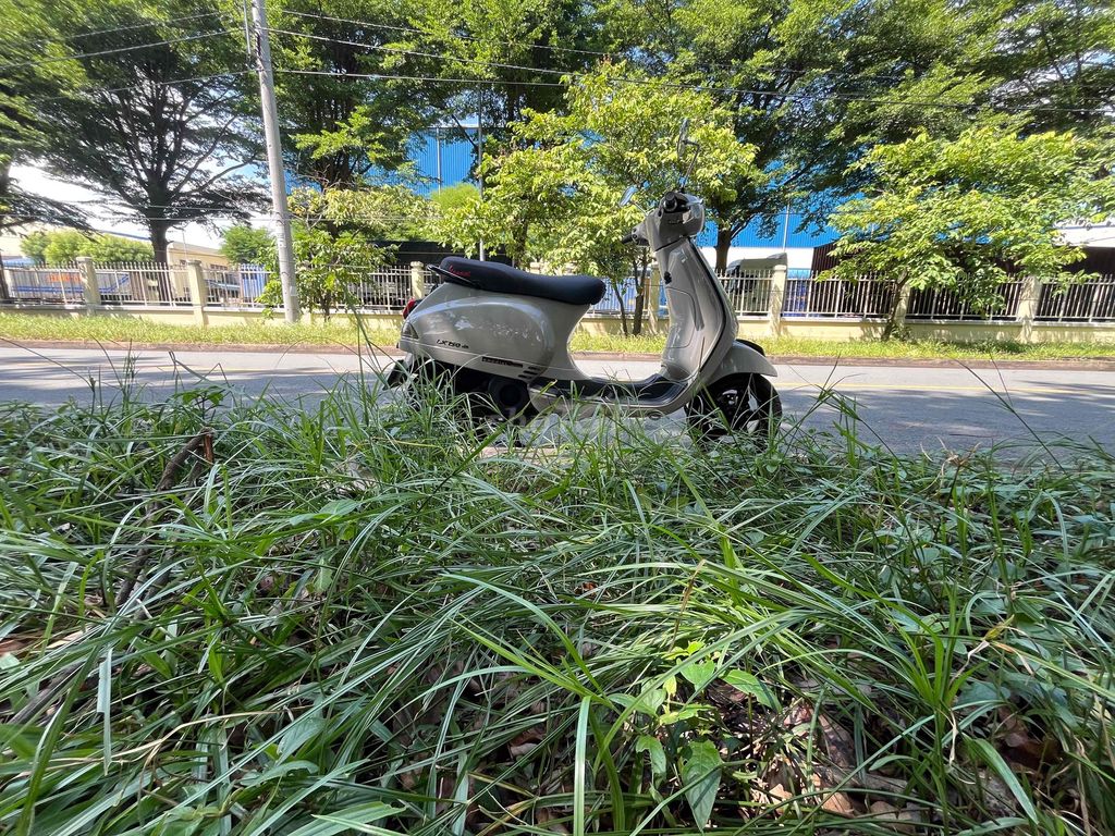 Piaggio Vespa 2014 - ảnh 2