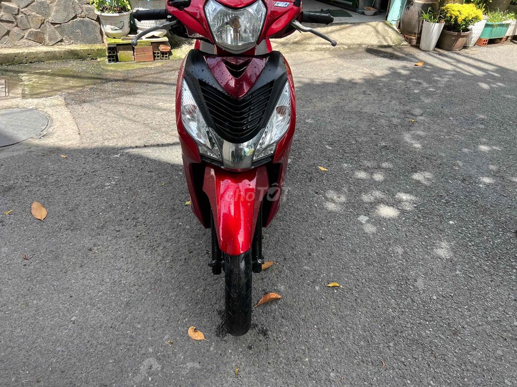 xe m 2005 - ảnh 3