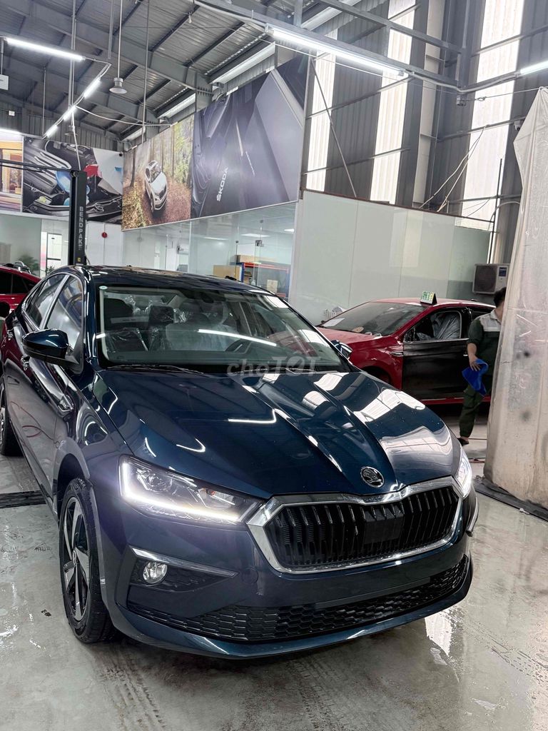 Skoda - ảnh 2