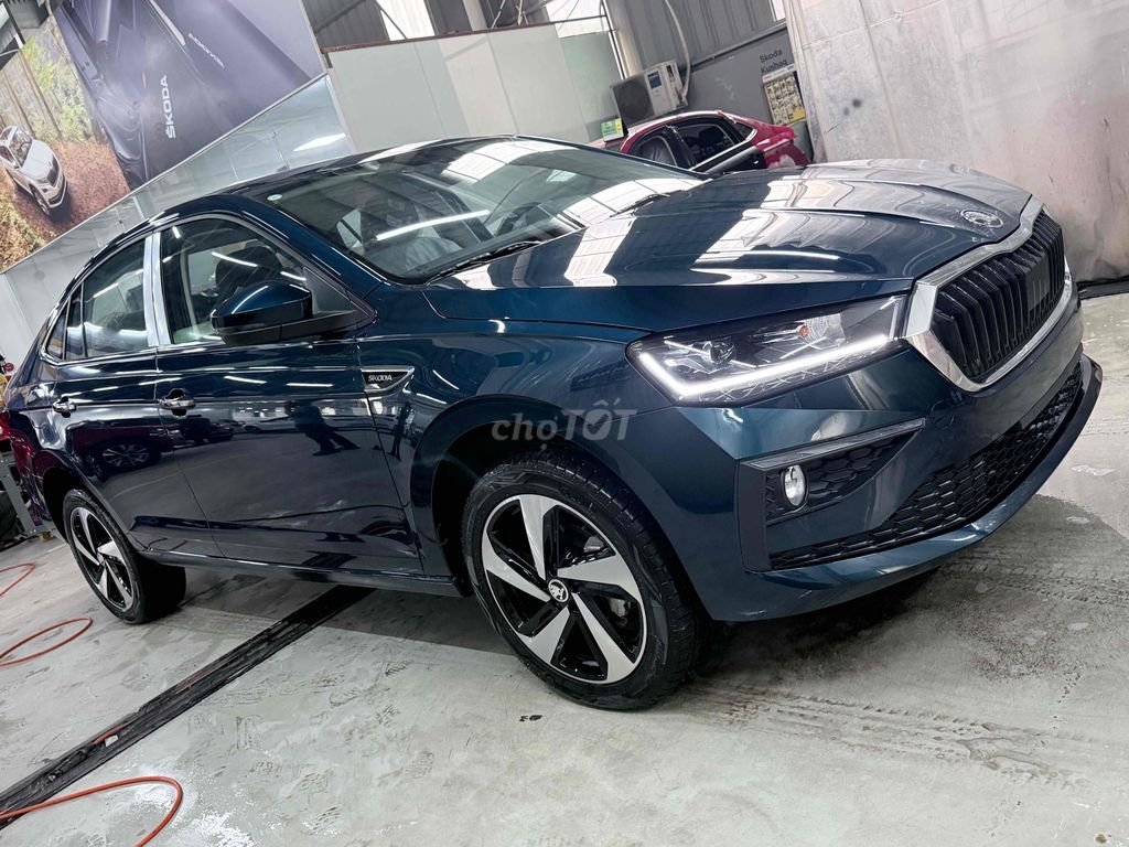 Skoda - ảnh 4