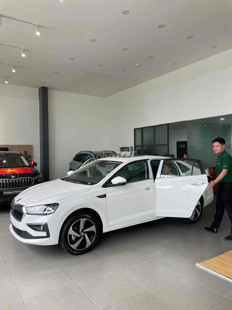 Skoda - ảnh 5