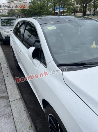 Toyota Venza 2009 - ảnh 3