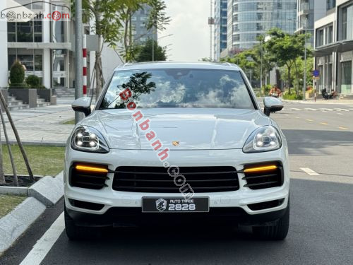 Porsche Cayenne 2022 - ảnh 1