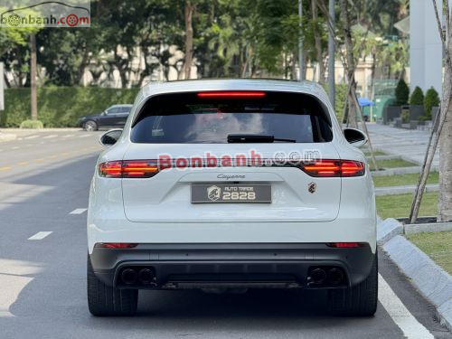 Porsche Cayenne 2022 - ảnh 3
