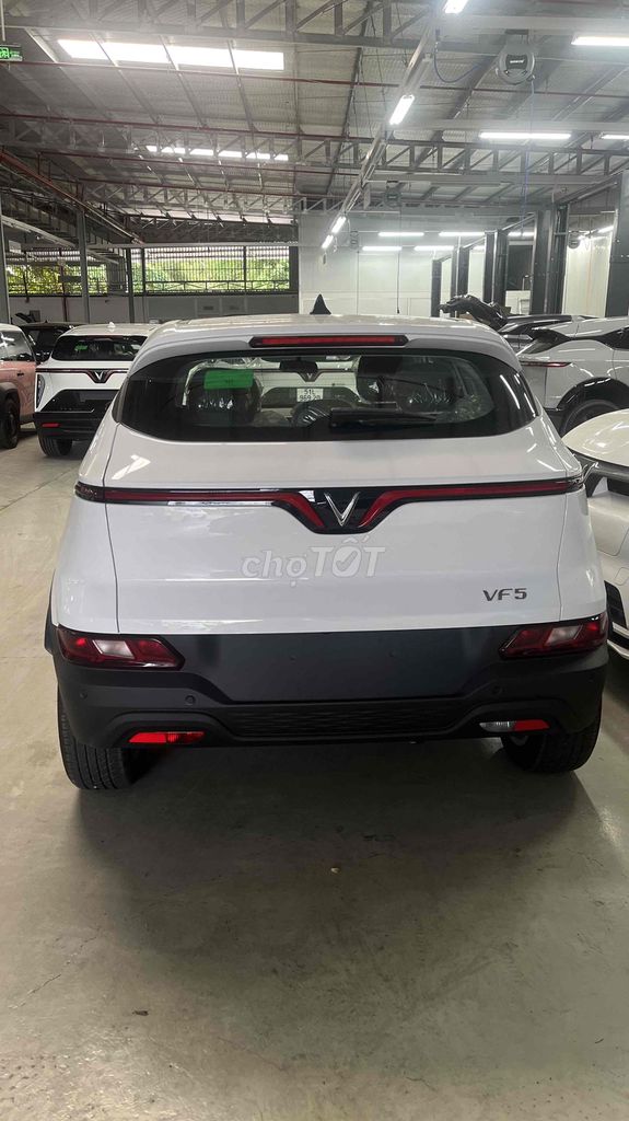 VinFast - ảnh 5