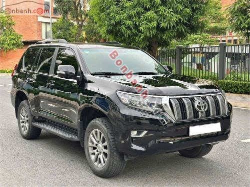 Toyota Prado 2011 - ảnh 1