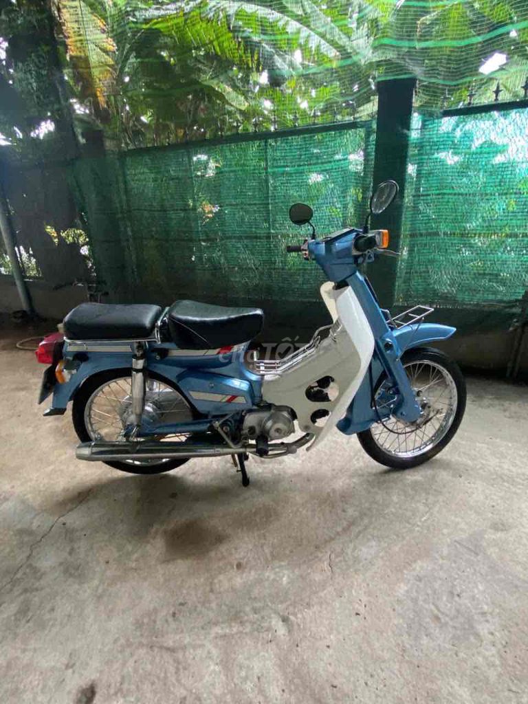 Honda Cub 1984 - ảnh 4