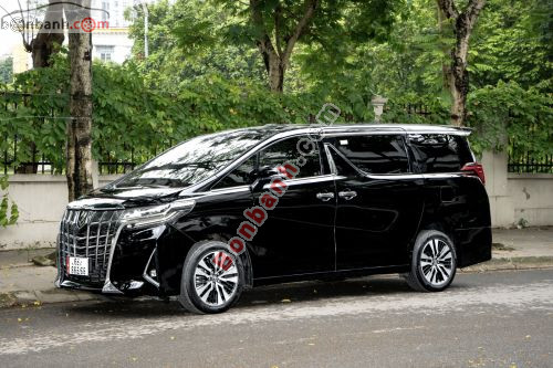 Toyota Alphard Luxury Executive Lounge 2020 - ảnh 2