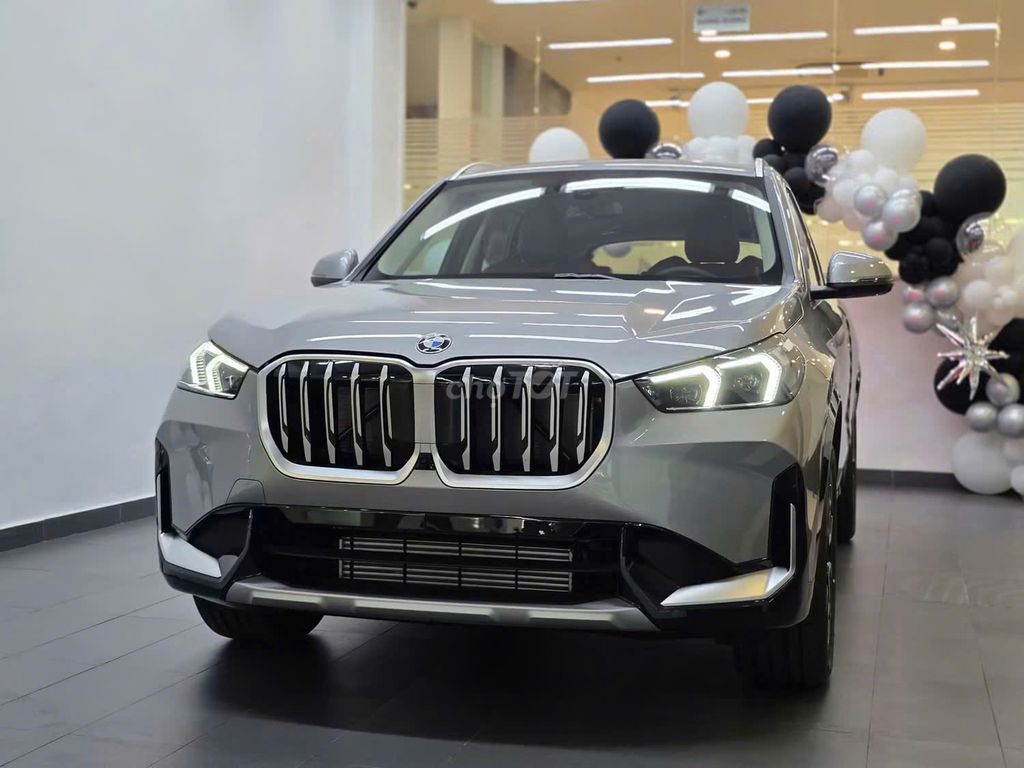 BMW X1 - ảnh 1