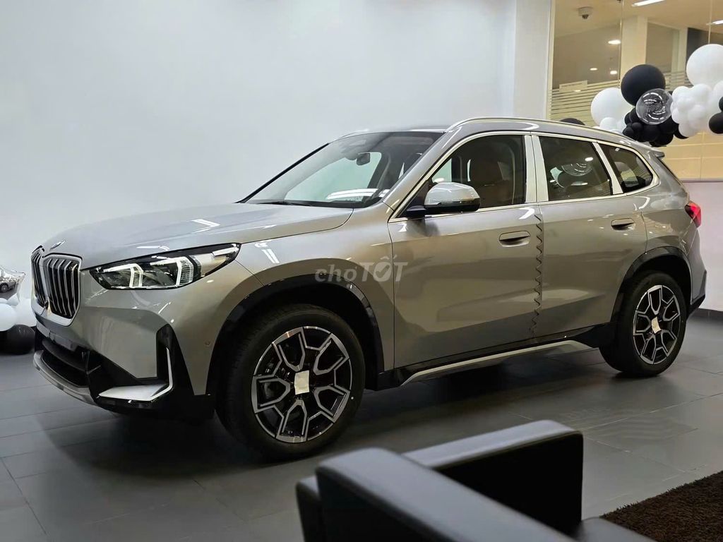 BMW X1 - ảnh 2