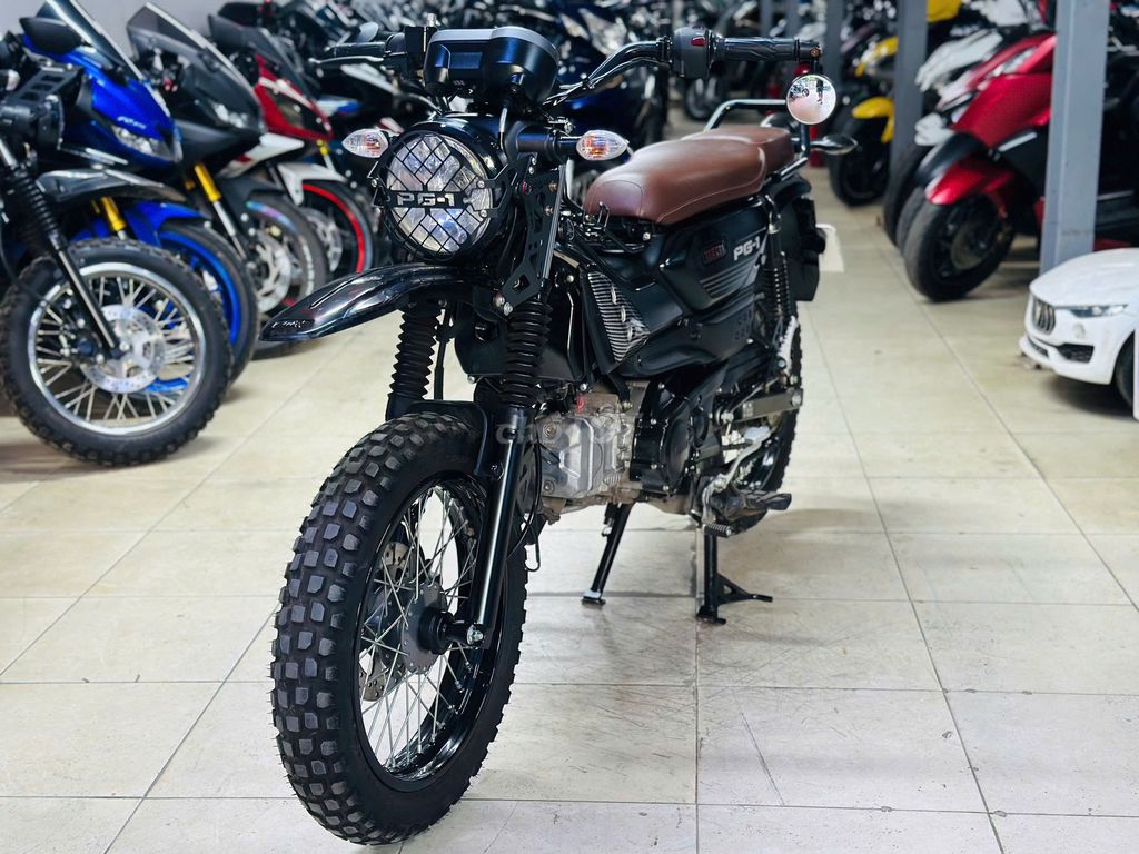 XE M 2025 - ảnh 1