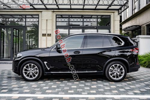 BMW X5 xDrive40i xLine 2023 - ảnh 2