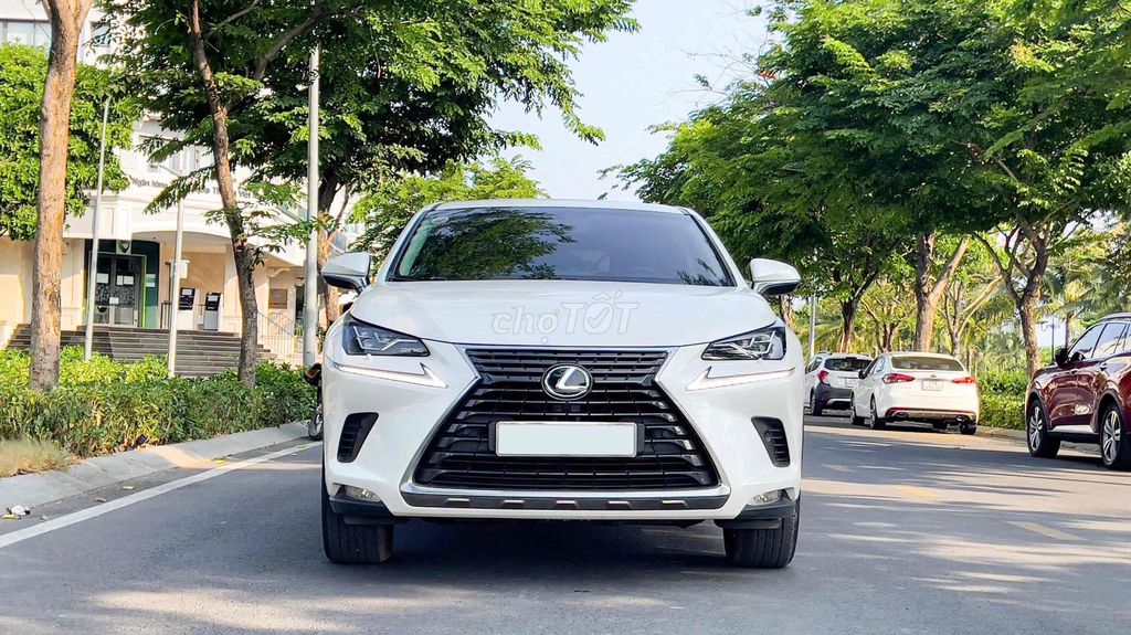Lexus NX 2019 - ảnh 2