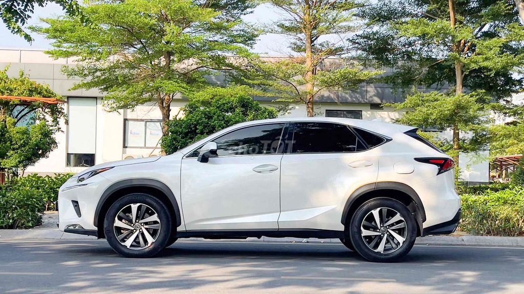 Lexus NX 2019 - ảnh 3