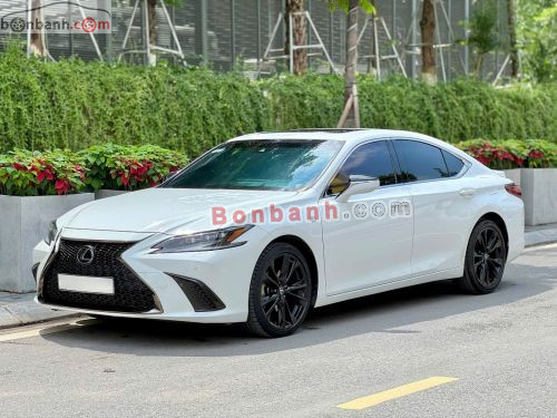 Lexus ES 250 F Sport 2022 - ảnh 2