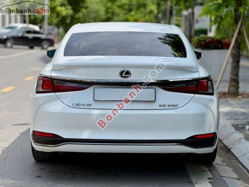 Lexus ES 250 F Sport 2022 - ảnh 5