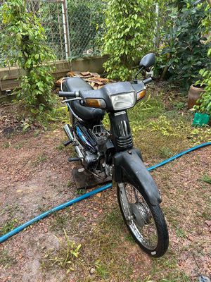 Honda Dream 2002 - ảnh 1