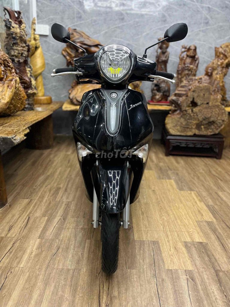Yamaha Janus 2023 - ảnh 1
