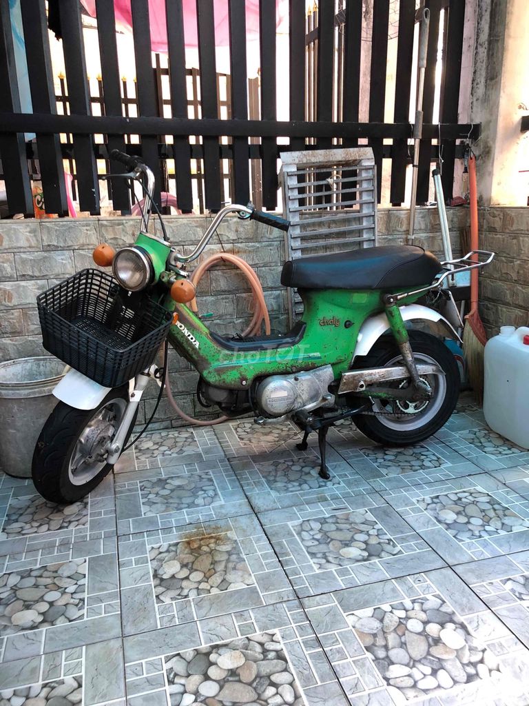 Honda - ảnh 1