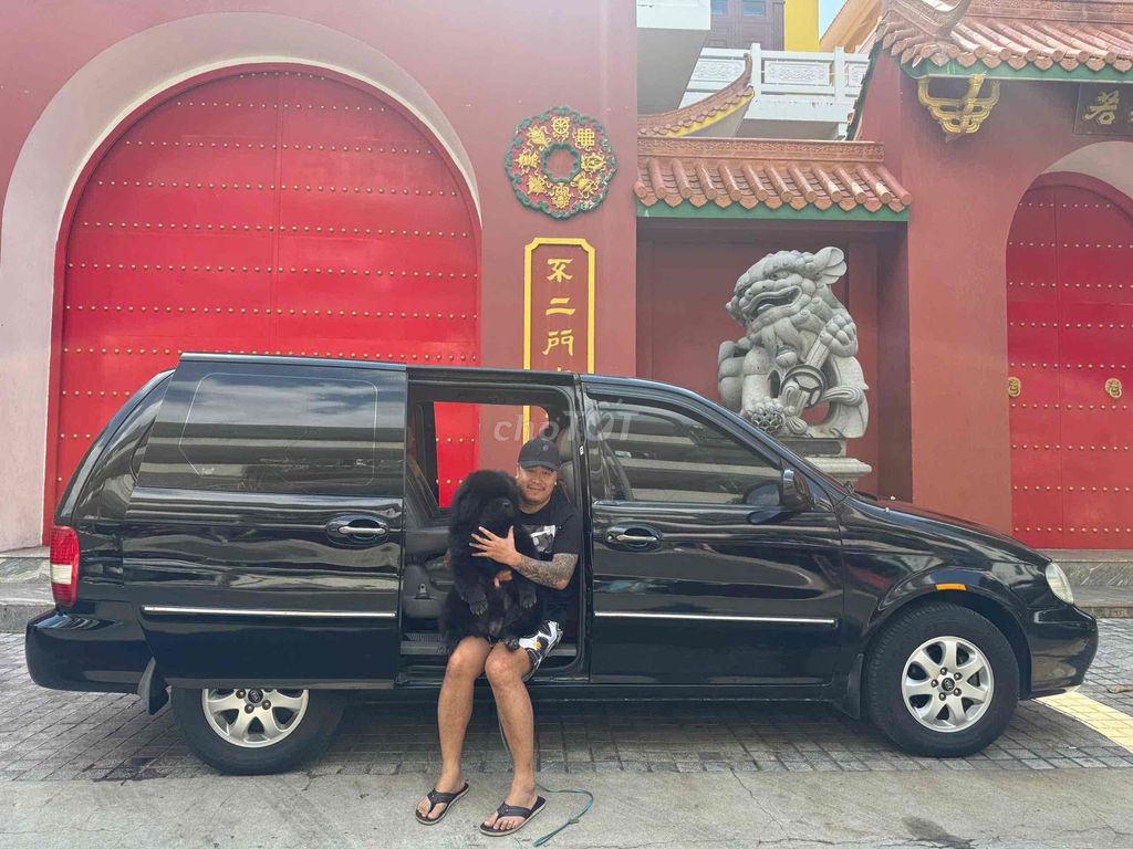 Kia Carnival 2009 - ảnh 5
