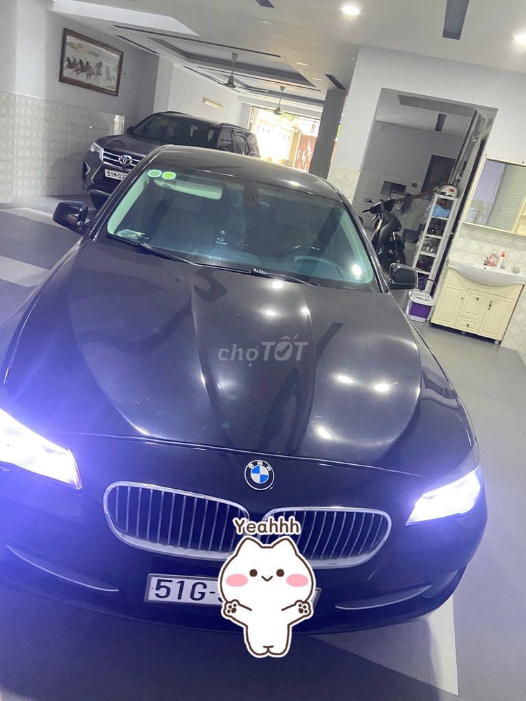 BMW 2011 - ảnh 2