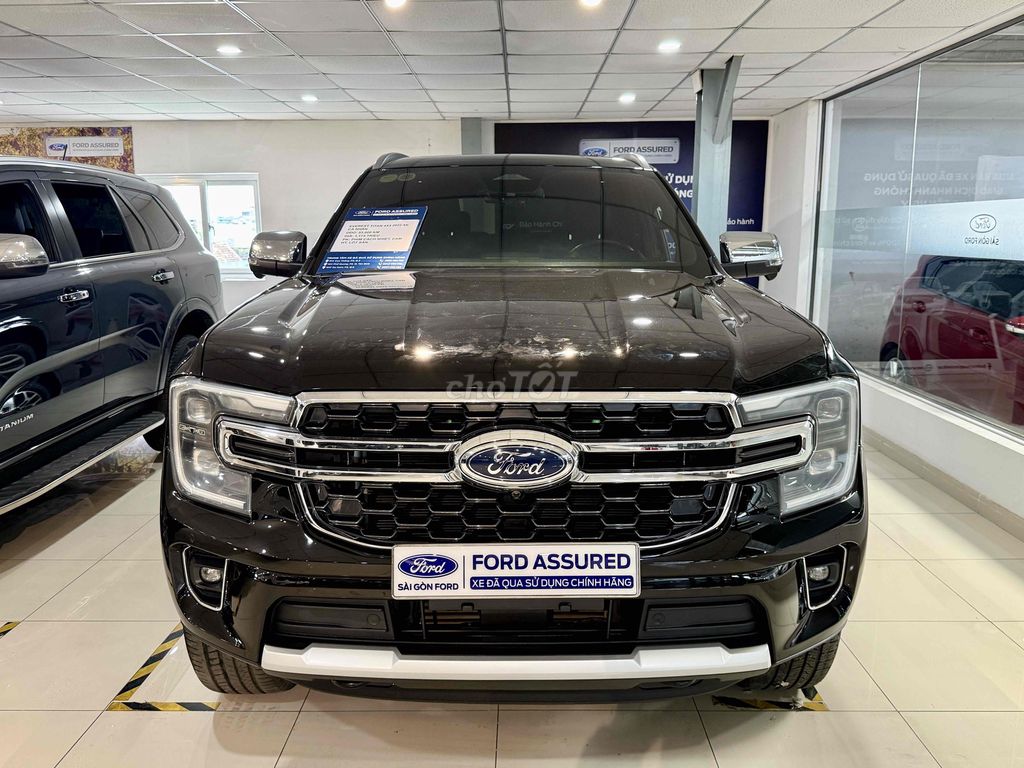 Ford - ảnh 1