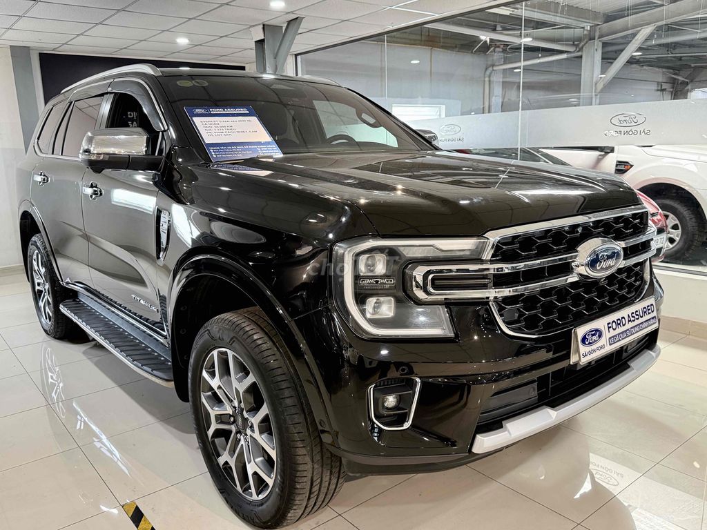 Ford - ảnh 2