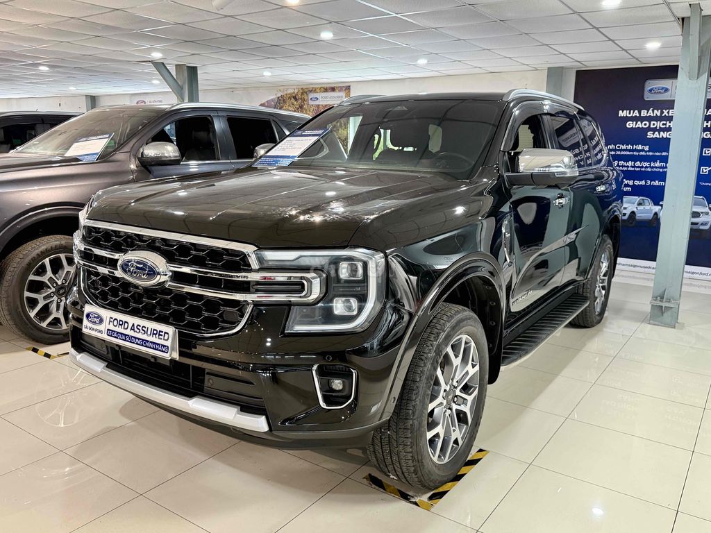 Ford - ảnh 3