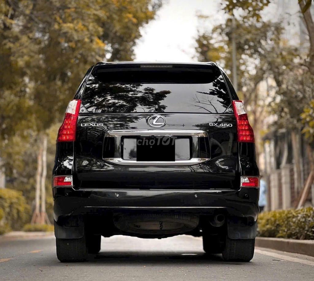 Lexus GX 2010 - ảnh 3
