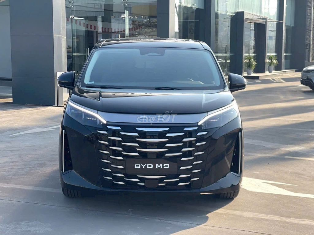 BYD 2026 - ảnh 1