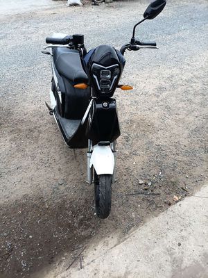 Xe m 2014 - ảnh 1