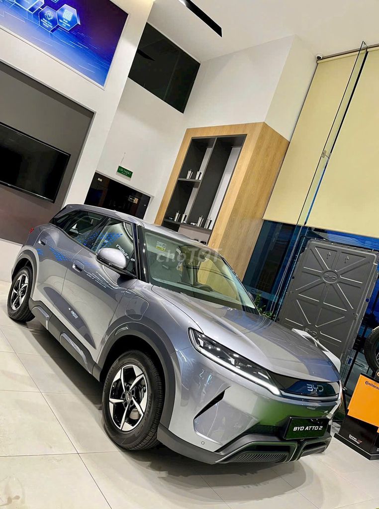 BYD 2026 - ảnh 1