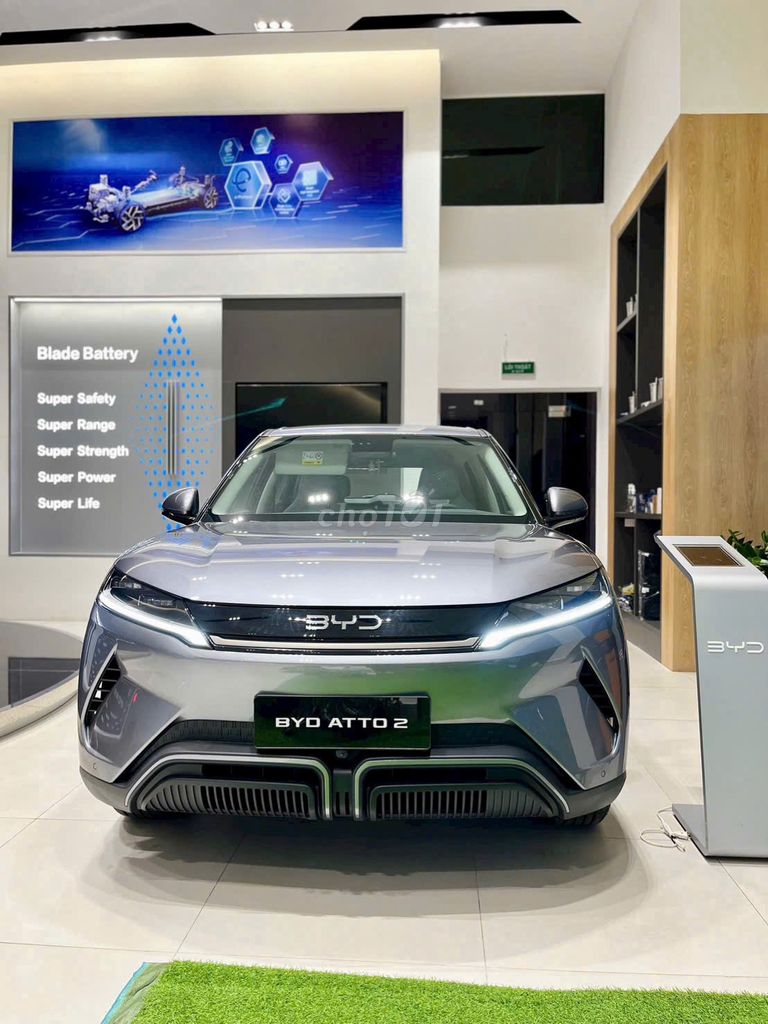 BYD 2026 - ảnh 2