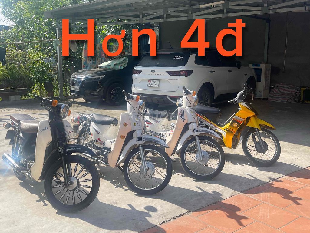 cub 2016 - ảnh 1