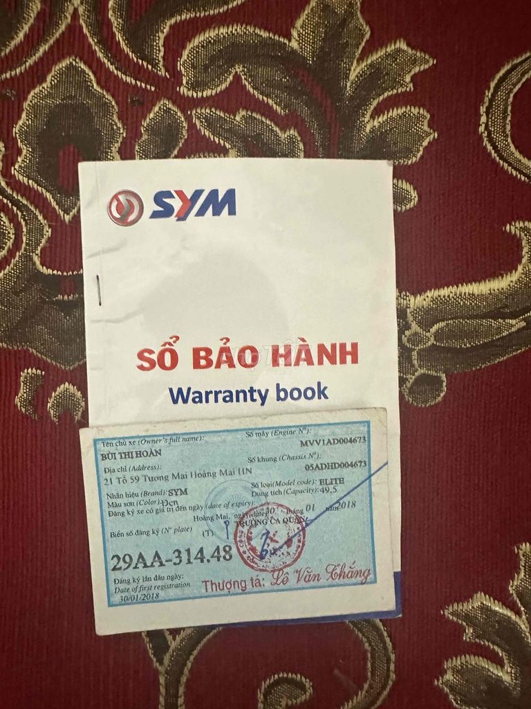 SYM Elite 2019 - ảnh 2