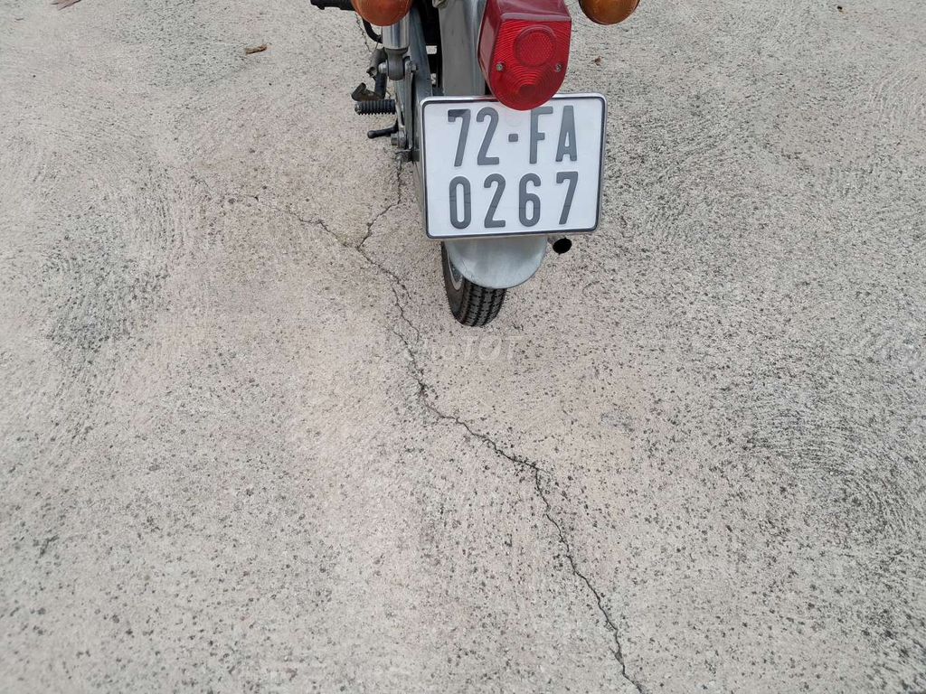 Honda 1981 - ảnh 2