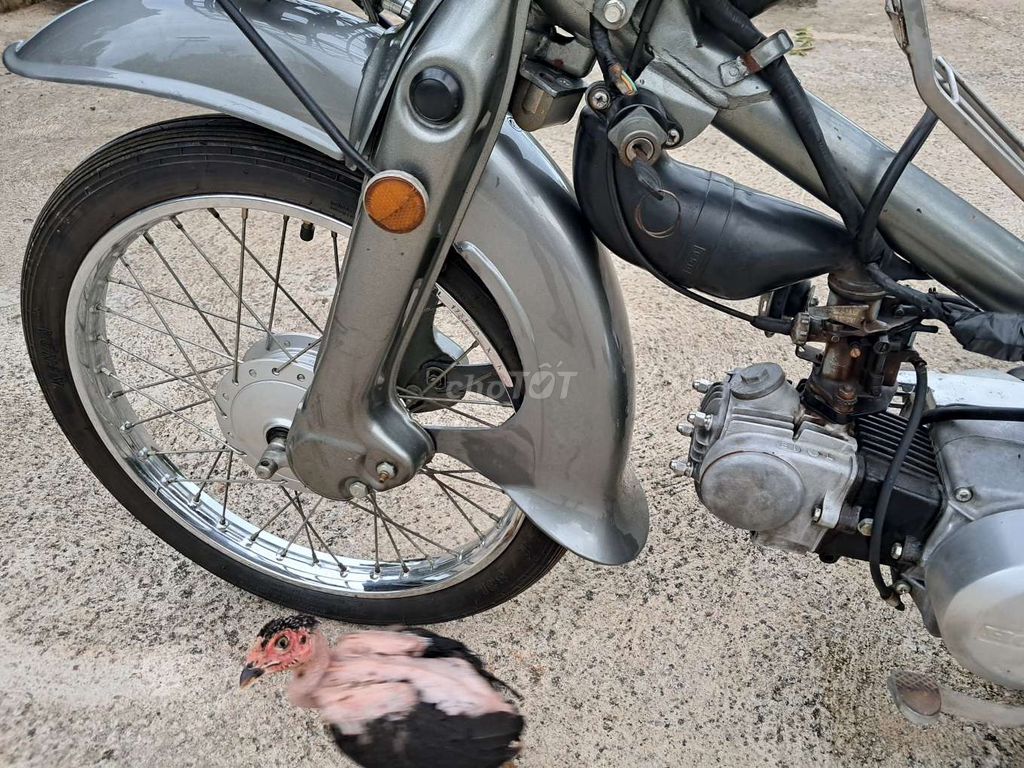 Honda 1981 - ảnh 4