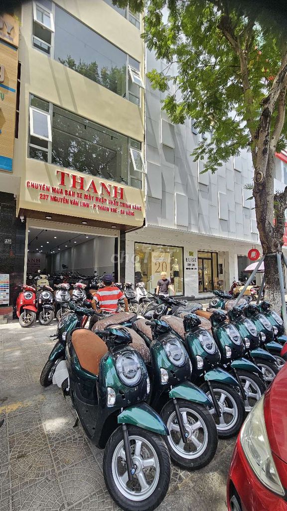 Honda Scoopy 2026 - ảnh 3