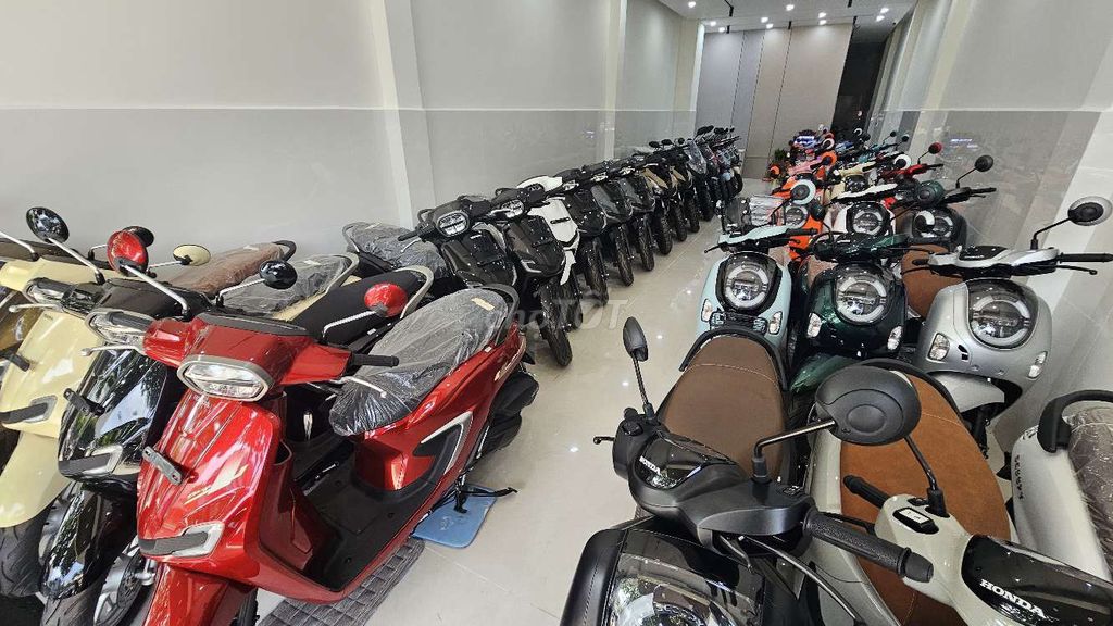 Honda Scoopy 2026 - ảnh 4