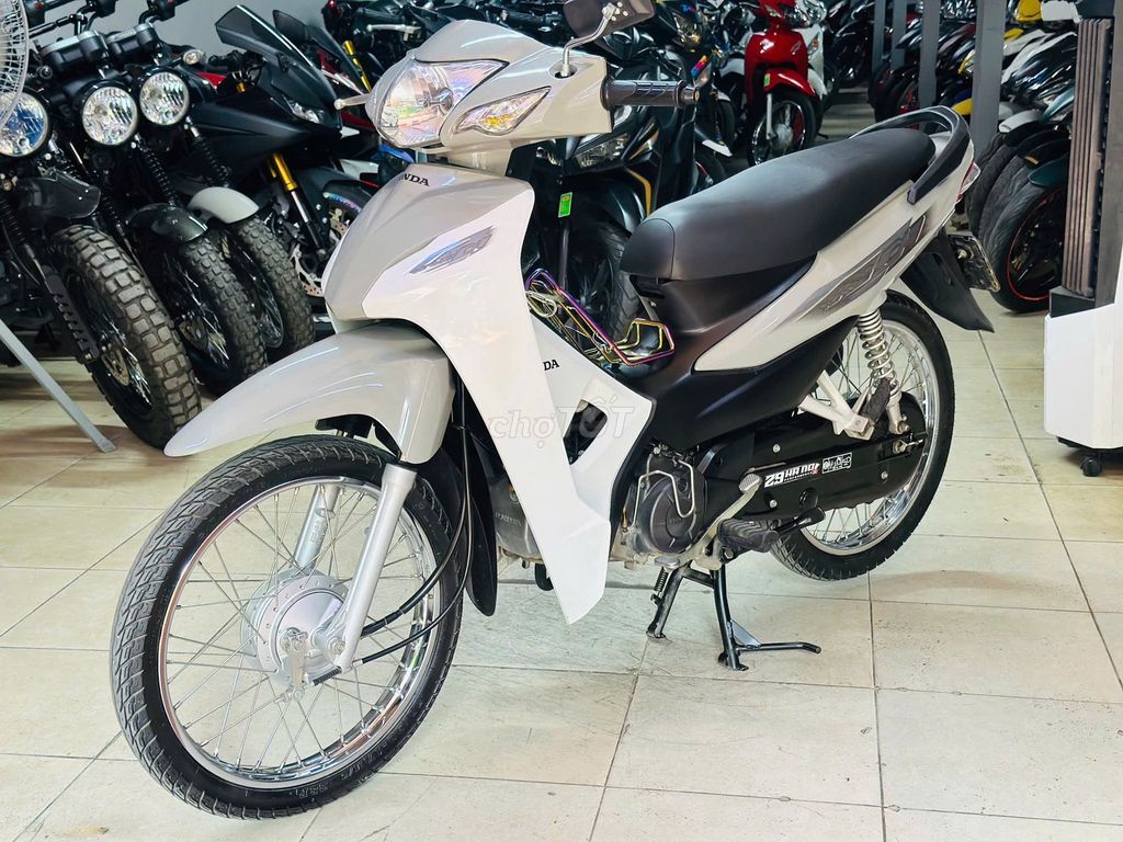 XE M 2024 - ảnh 1