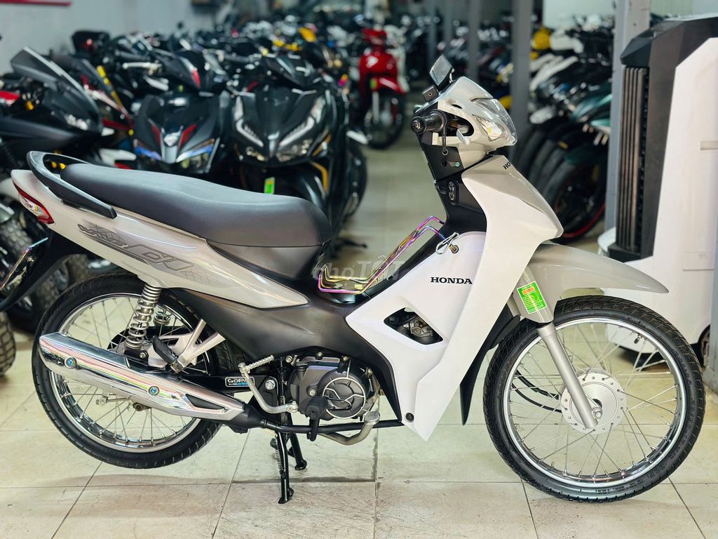XE M 2024 - ảnh 2