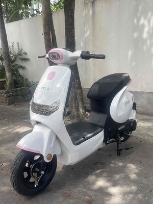Xe 2026 - ảnh 1