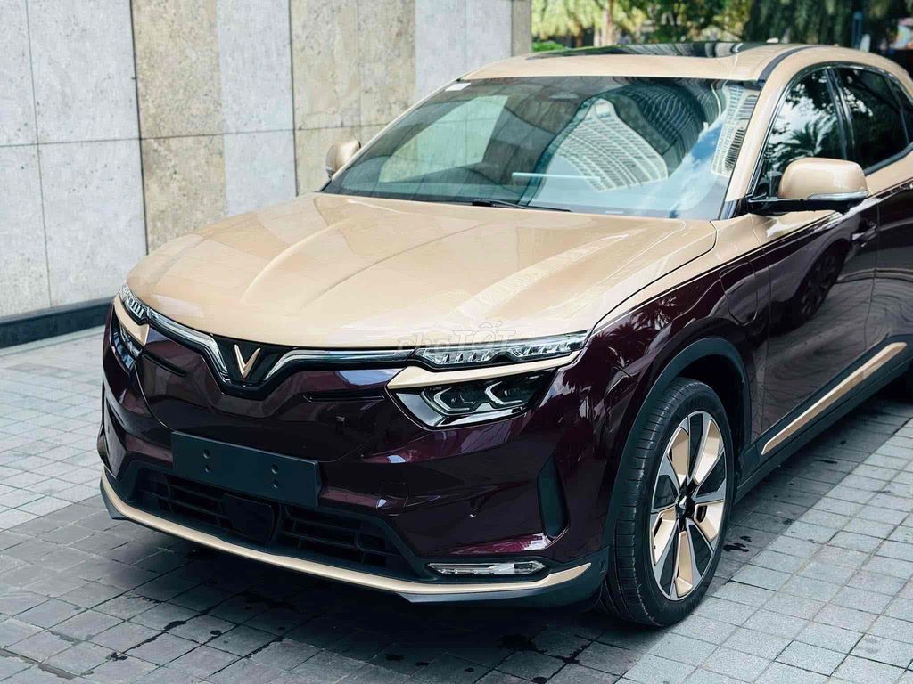VinFast 2025 - ảnh 1