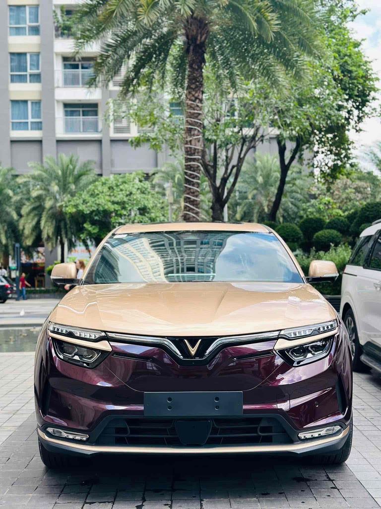 VinFast 2025 - ảnh 2