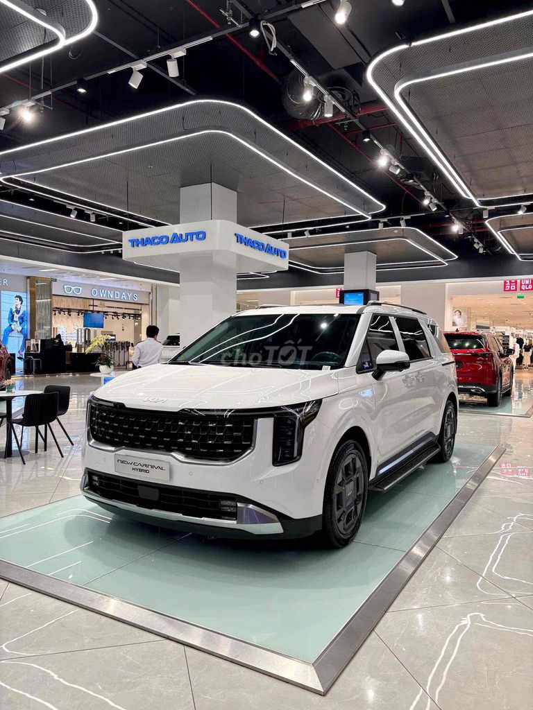 Kia Carnival - ảnh 1