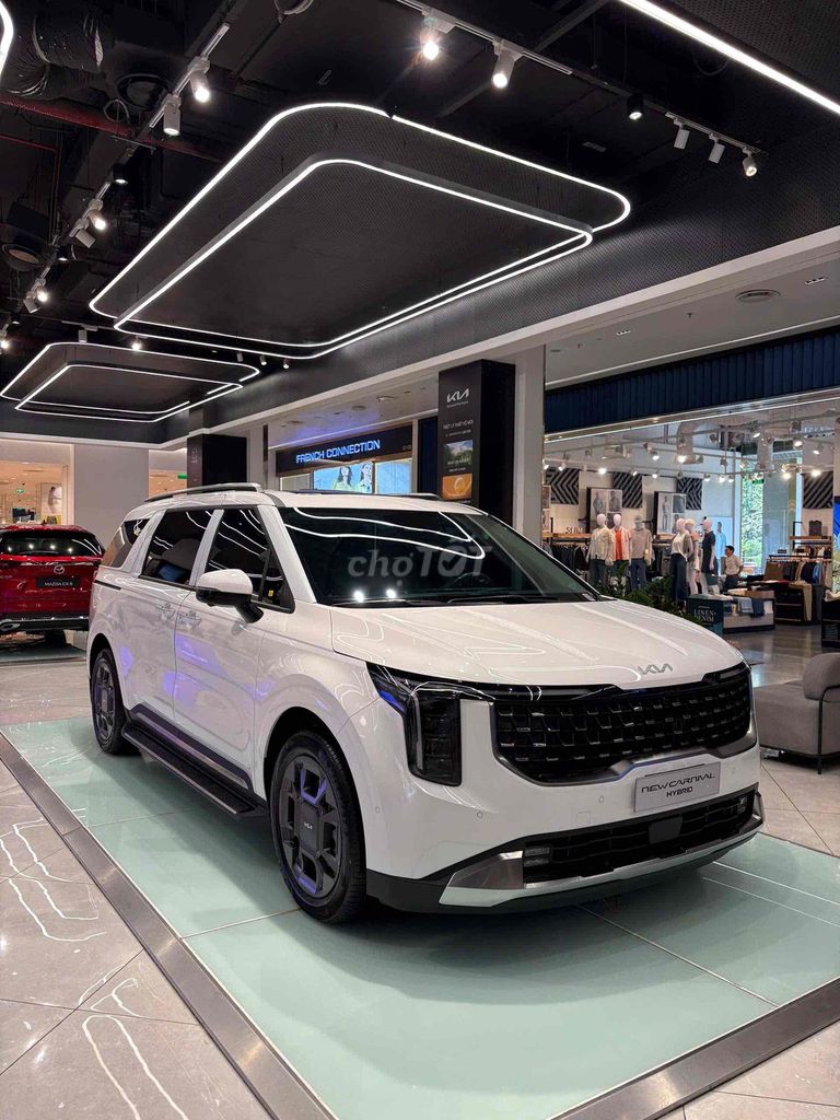 Kia Carnival - ảnh 3