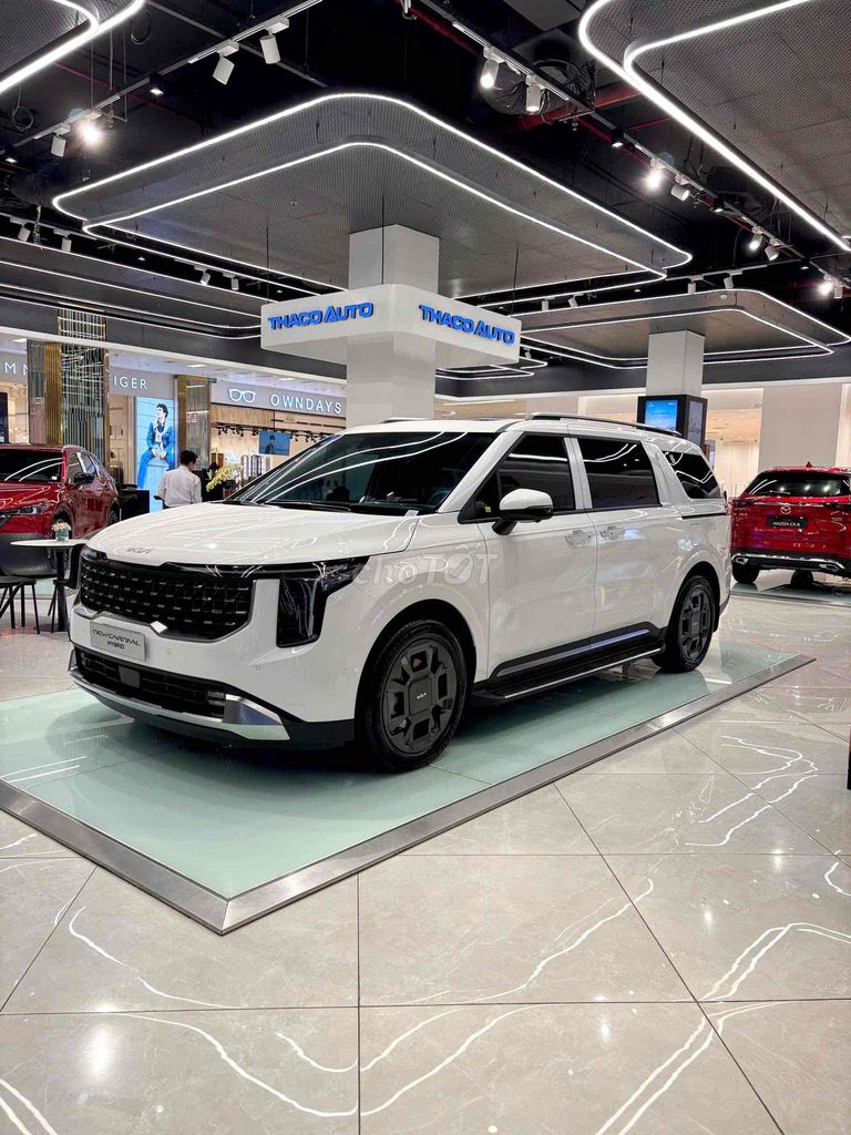 Kia Carnival - ảnh 4