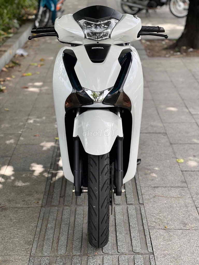 Honda SH 2019 - ảnh 2
