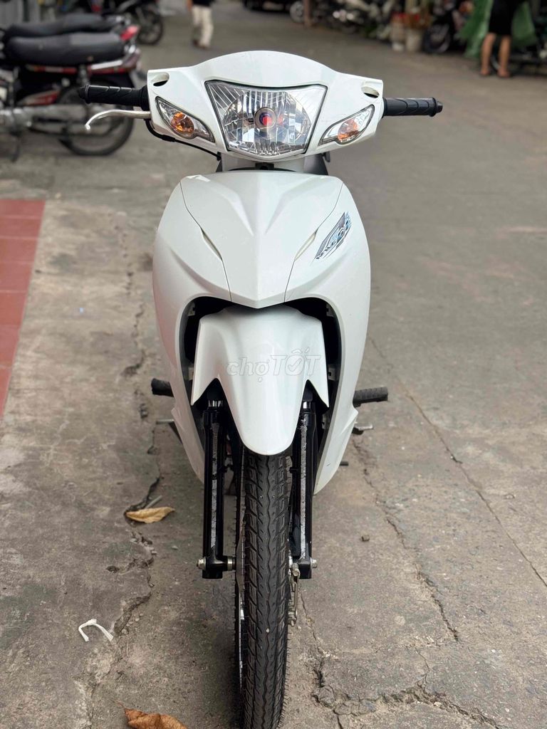 Honda Wave 2024 - ảnh 1